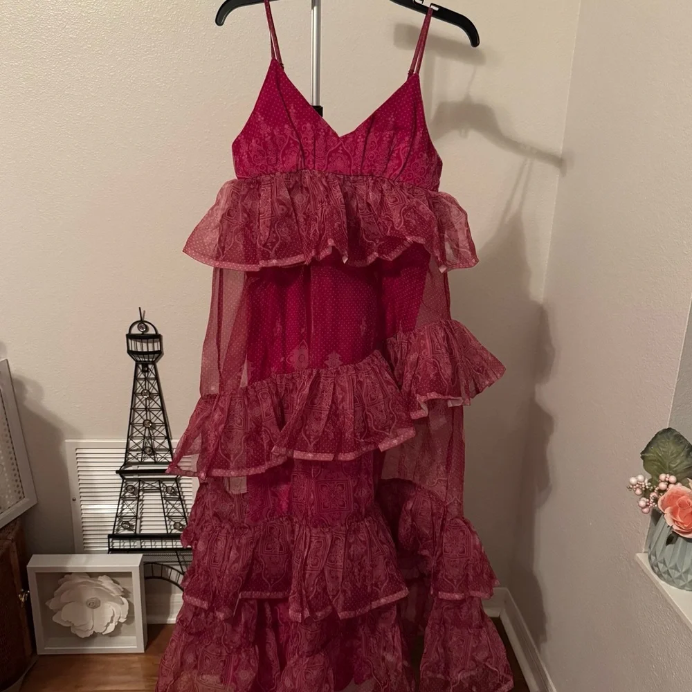 NWT Anthropologie Let Me Be Sleeveless Sheer Tiered Midi Dress Sz S - Picture 10 of 16
